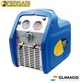 RECUPERATORE GAS Refrigerante Mod.RR250A V.220 (3/4HP) 0256368